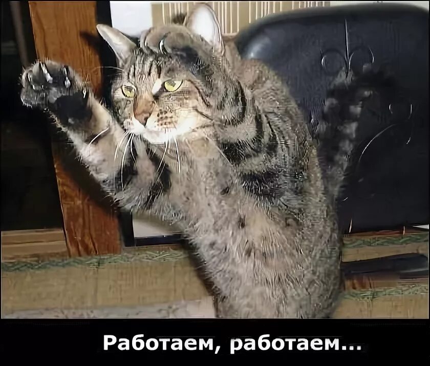 У меня вообще не работает