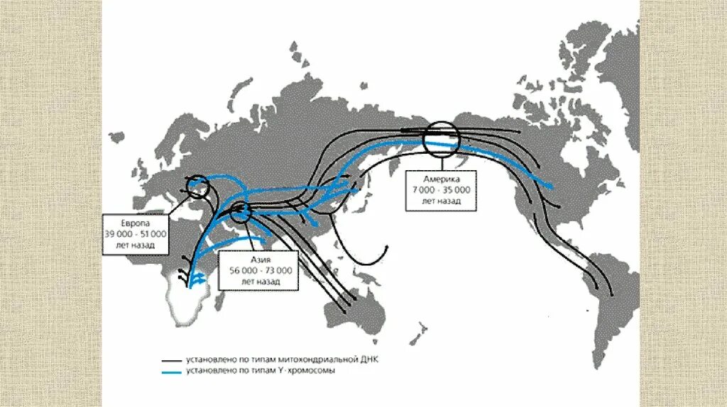Расселение и миграция. Карта миграции древних людей. Пути миграции человека из Африки. Карта миграции хомо сапиенс. Расселение хомо сапиенс по земному шару.