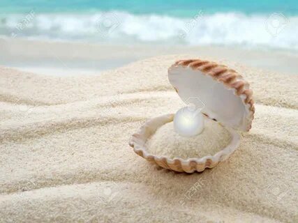 Pearl sea shop