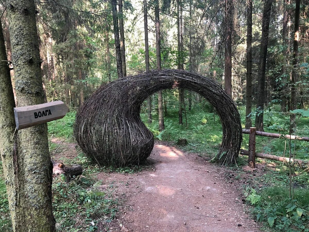 Иволга плес. Иволга плес веревочный. Экопарк иволга плес. Иволга плес веревочный. Канатный парк в плесе иволга.