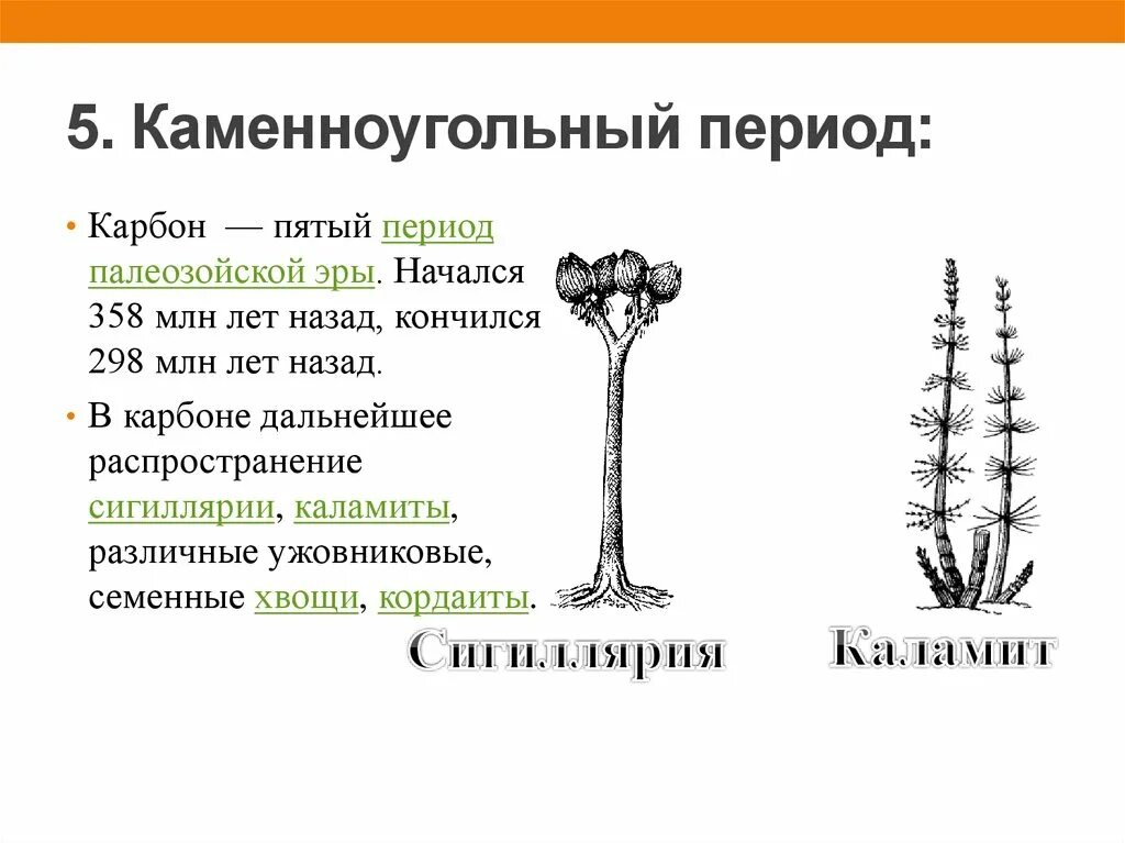 Каменноугольный период палеозойской эры таблица. Каменноугольный период краткое описание. Период каменноугольный событие. Период каменноугольный событие. Карбон каменноугольный период климат.