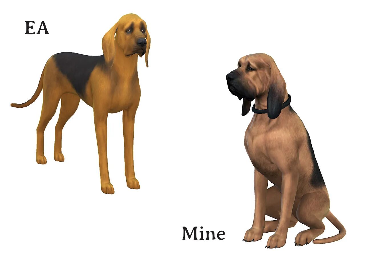 Bloodhound s regression