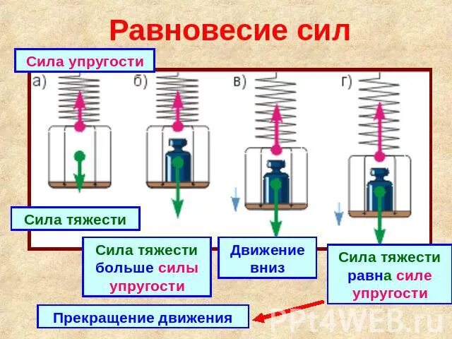 Сила упругости проект