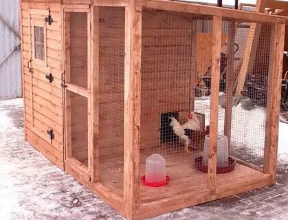 Зимний курятник на 20 кур