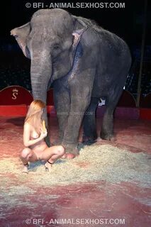 Girl fucked by elephant dick - bigdicks.pics