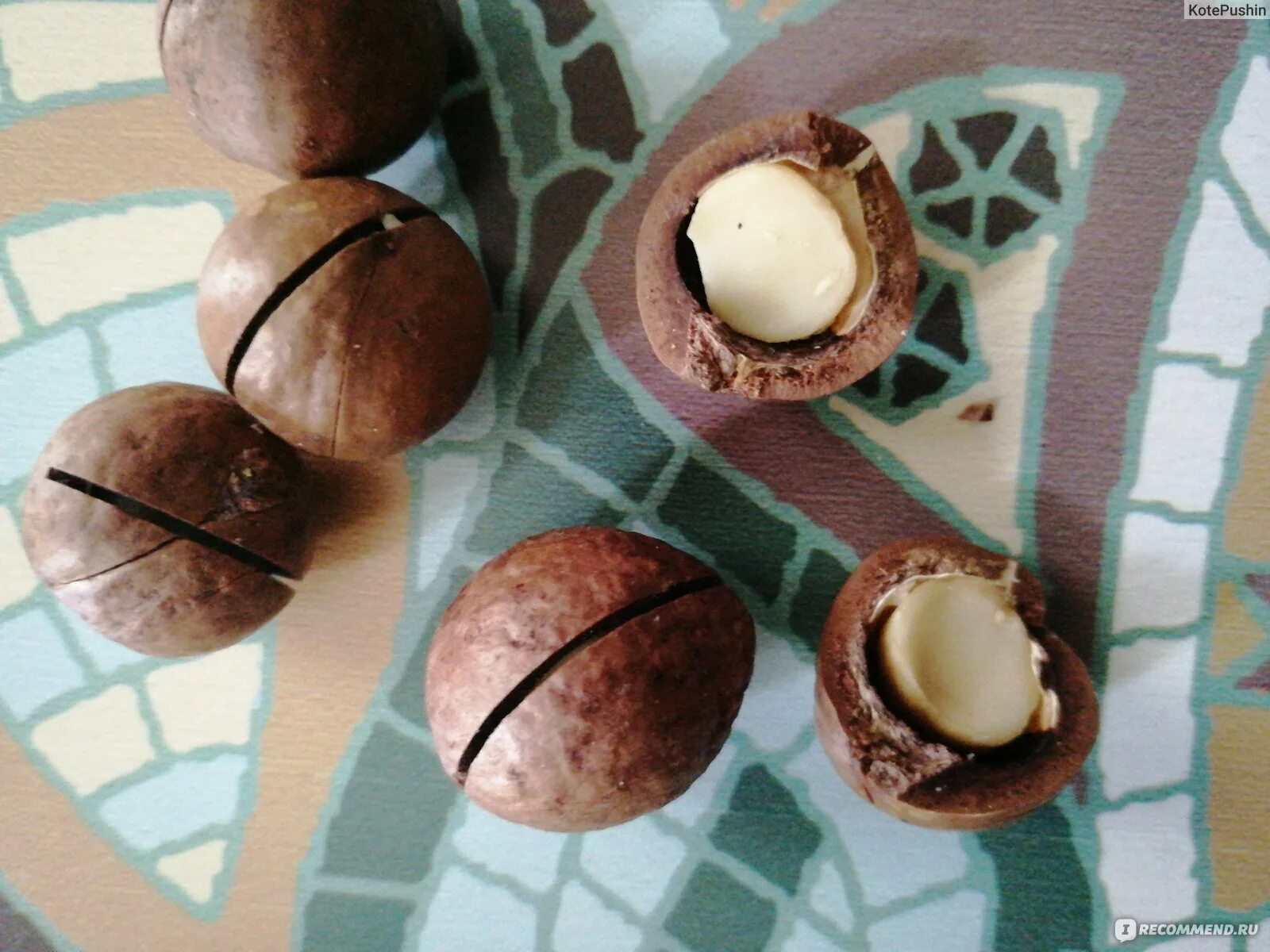 Скорлупа макадамии. Орех макадамия внутри. вкусные орехи. молоко из орехов макадамии. орех похожий на макадамию.