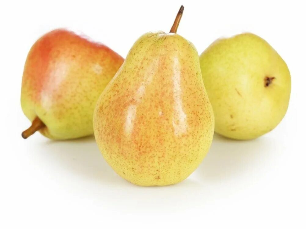 Груша на белом фоне. Груши лукас. Груша свежая. Груша аббат и конференц разница. Груша розмари вес.
