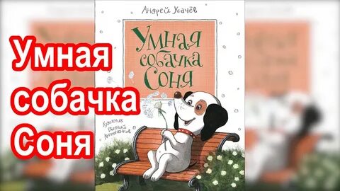 Слушать про собачку соню без перерыва