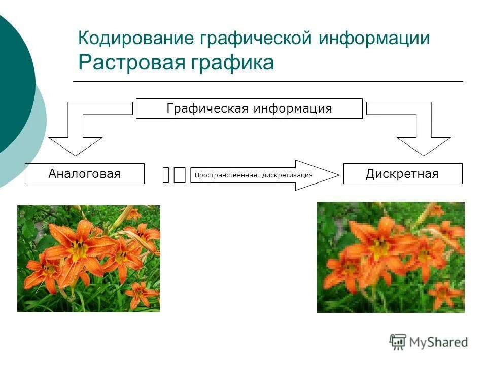 Обработка графической информации виды