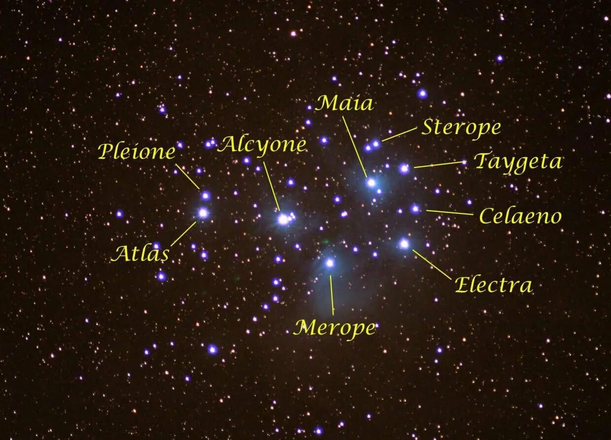 Созвездие звезды плейона. Звезда Альциона созвездия Плеяд. Альциона звезда в созвездии тельца. Плеяда Созвездие 7 сестёр. Созвездие Телец Альцион.