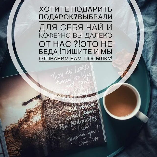 Магазины лавка кофе чая. Красивые пейзажи россии. Кулешова альфия абукарамовна. Чайная лавка питер. Утро здесь.