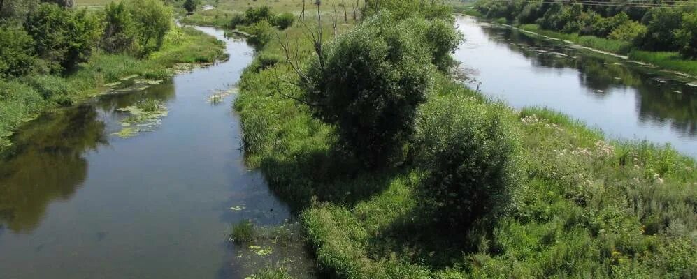 Новоникольское Мичуринский район Тамбовской области. Село Новоникольское Мичуринского района Тамбовской. Села Новоникольское Мичуринского округа. Село Новоникольское Данковского района. Никольское мичуринского