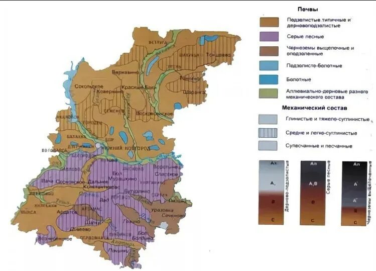 Какие почвы характерны для лесной зоны поволжья. Какие почвы характерны для лесной зоны поволжья