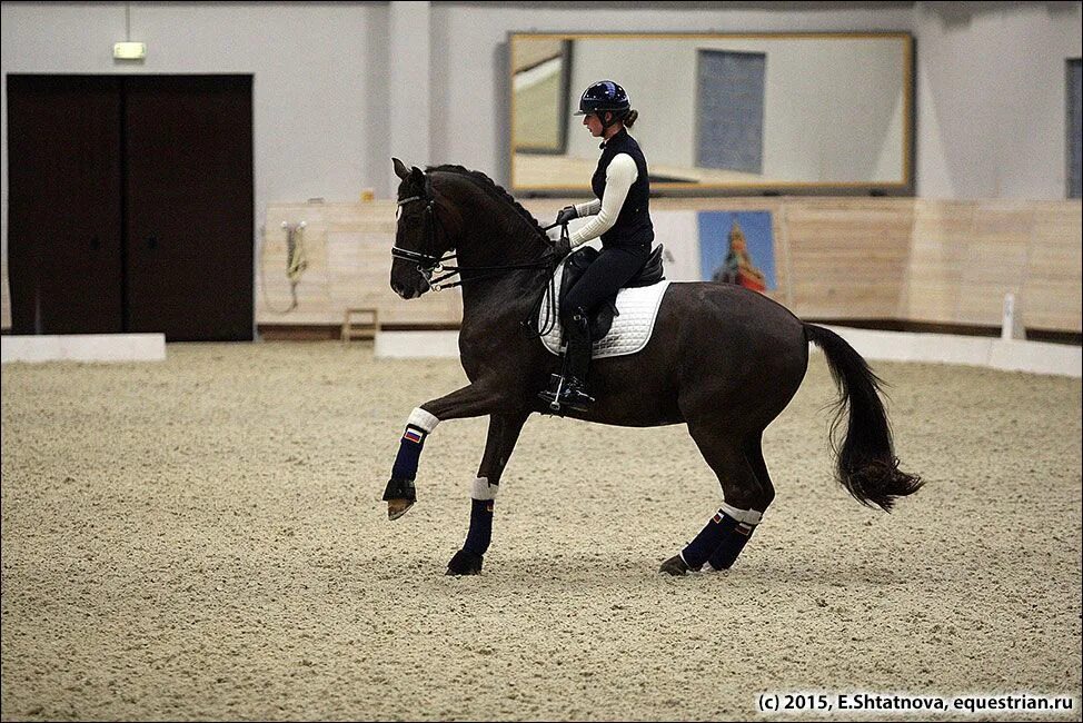 Бретонская мышастая лошадь. Конь масляной пастелью. Лошадь с усами. Английская чистокровная лошадь в конюшне. Свеча в виде коня из воска.