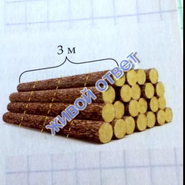 Бревно длиной 3. Бревно длиной 3