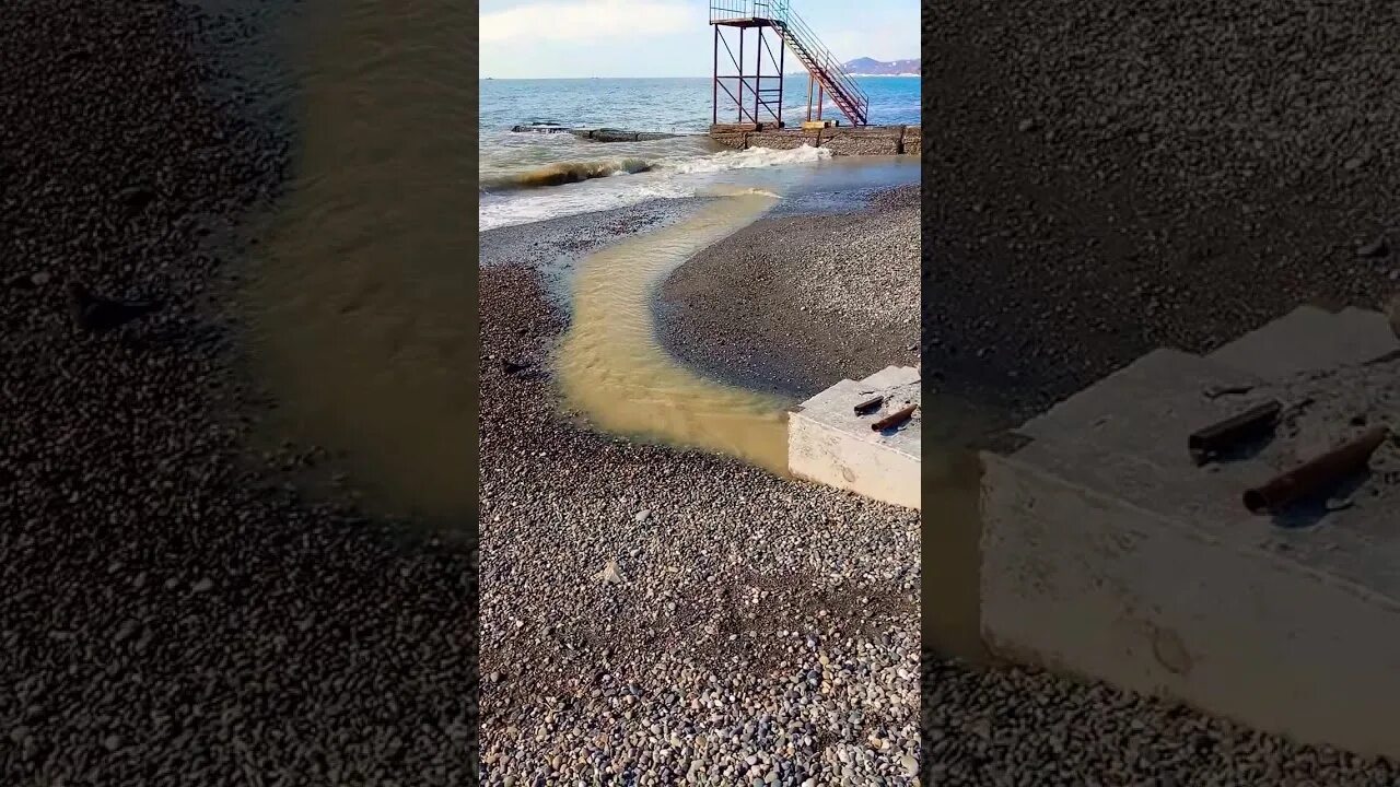 Адлер Курортный городок пляж Чкаловский. Пляж Барракуда Адлер. Пляж Чкаловский в Адлере. Чкаловский пляж Адлер Барракуда. Чкаловский адлер отзывы