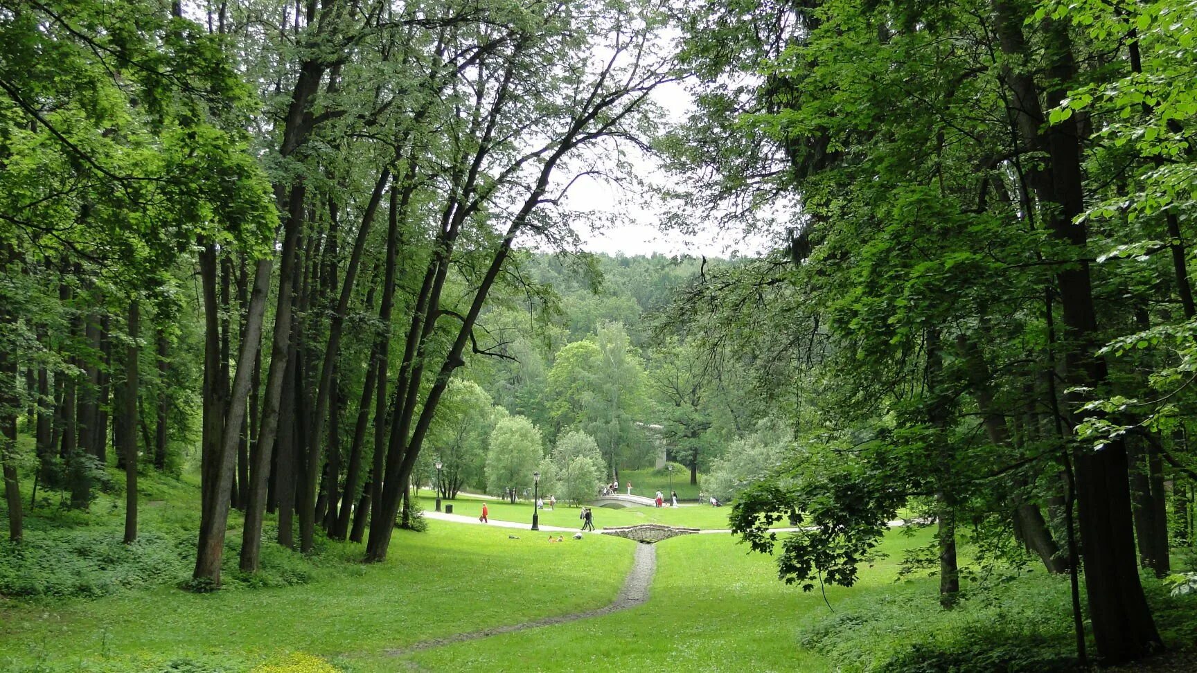 Красивые парки для прогулки. Дендропарк Царицыно. Царицыно Парковая зона. Царицынский пейзажный парк. Парк Царицыно аллеи.