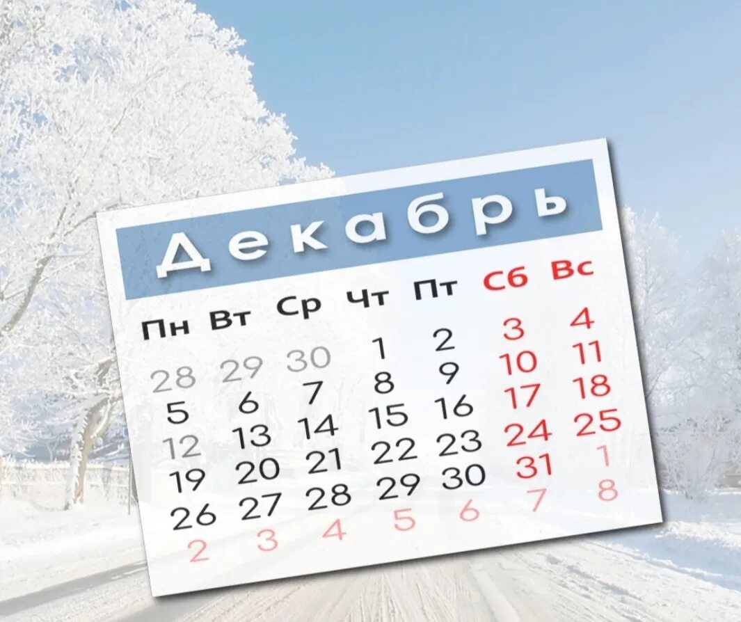5 декабрь 2025. Выходные в декабре 2025. календарь. календарь декабрь 2025. праздничные дни в декабре 2025.