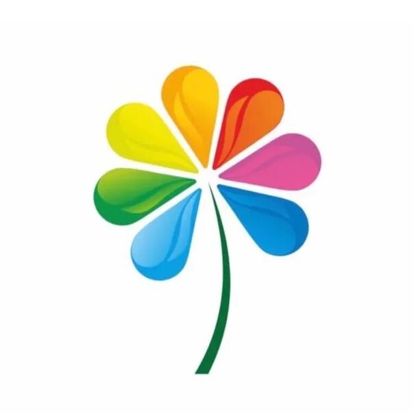 7 цветов техника. Семь цветов. Цветочек 7 цветов. Семь цветов Нефтеюганск. Компания 7 цветов.