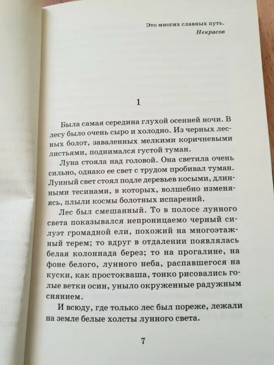 Осень эстетика сентябрь. Осень эстетика. Осень в лесу. Сын полка сколько страниц в книге. Сырая осень.