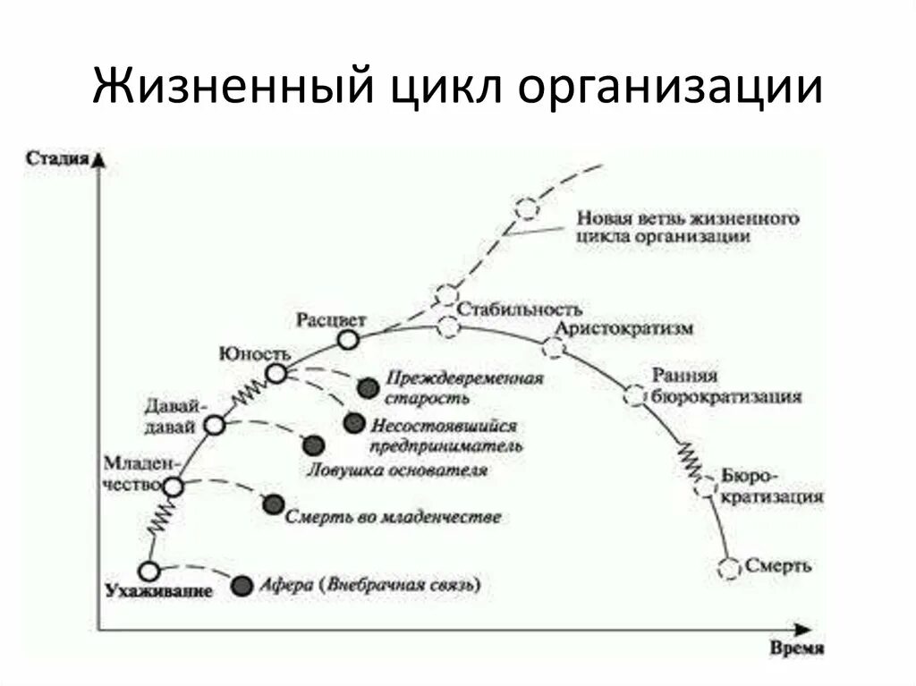 Жизненные стадии компании. Модель Мильнер жизненный цикл организации. Этапы жизненного цикла организации по Мильнеру. Жизненный цикл предприятия схема. Мильнер этапы жизненного цикла организации.