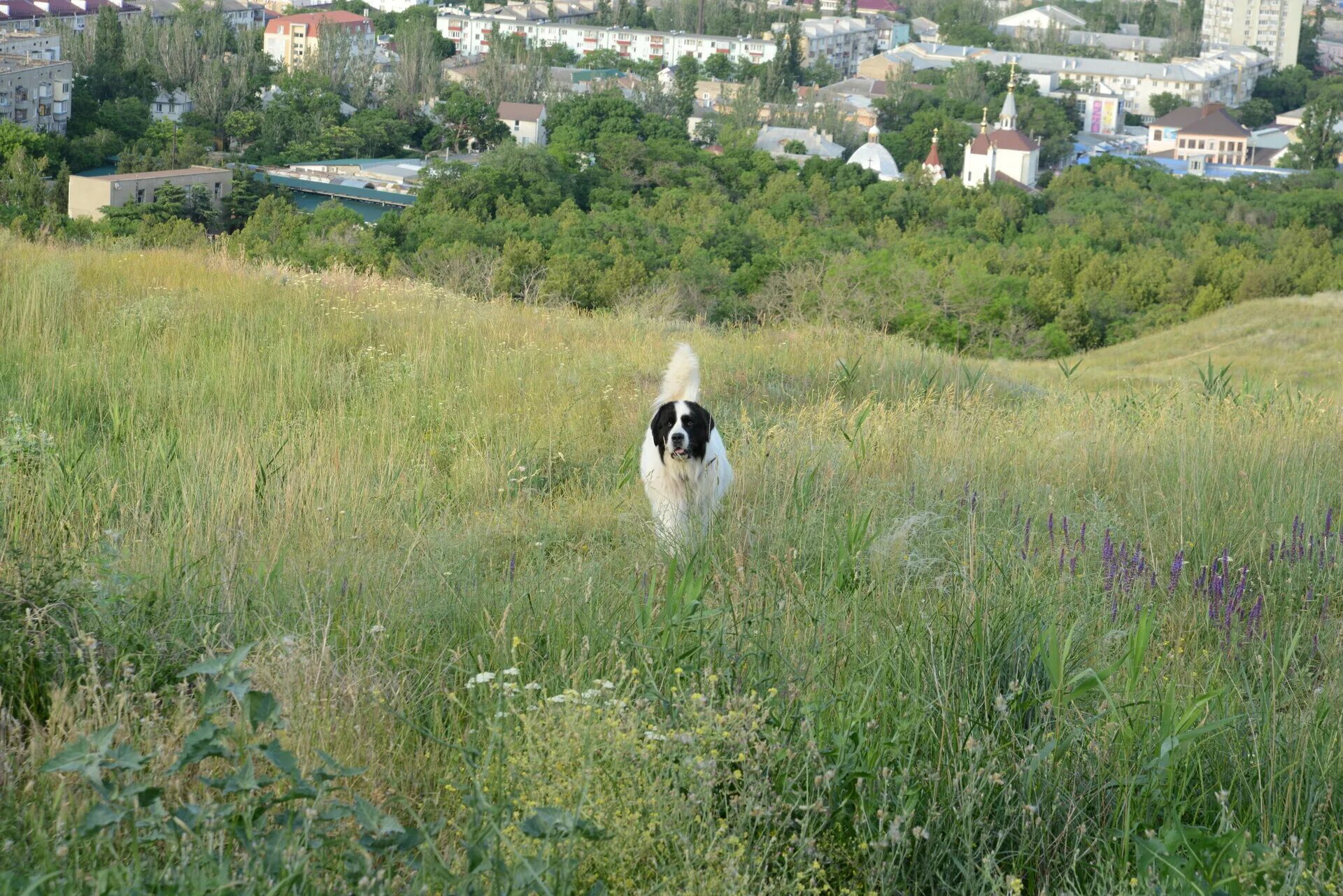 Денис никифоров бим. Бим сериал актёры. Джип из фильма бим нтв. Сема из бима. Почему сема жук ушел из бима.