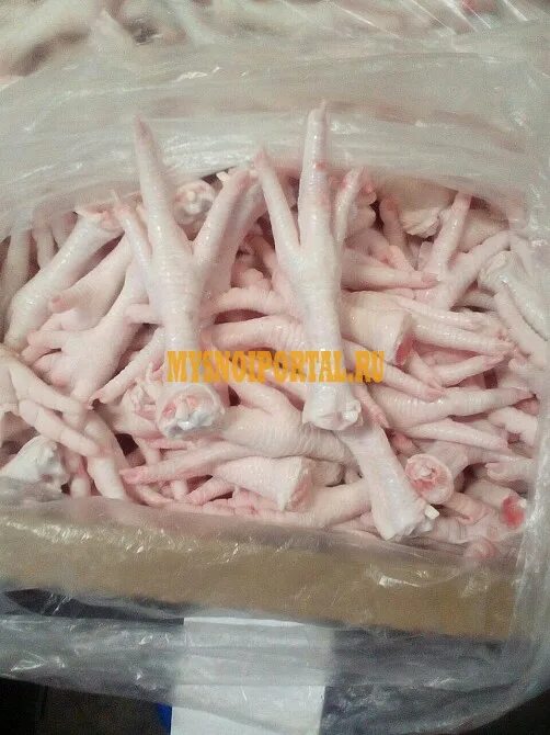 Можно ли давать куриные лапы собакам. Птицефабрики куриные лапки.
