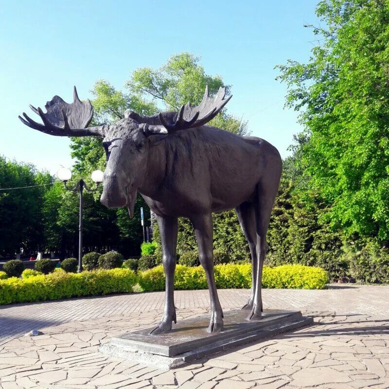 уссурийский лось. лоси в городе заречном пензенской. город заречный пензенская область лоси. заречный лоси в городе. мариинск памятник лось.