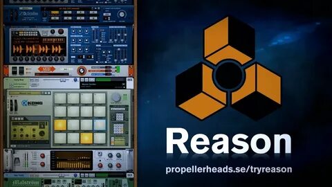 Reason's