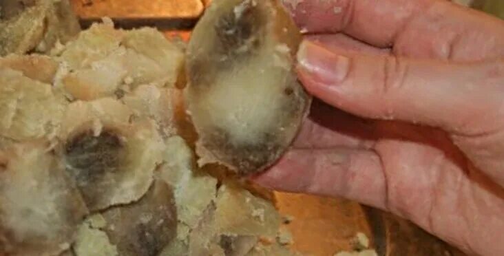 Почему картошка чернеет после варки и остывания. Почему картофель чернеет при варке. Чищеная картошка чернеет. Международный день варки картофеля. Вареная картошка почернела.