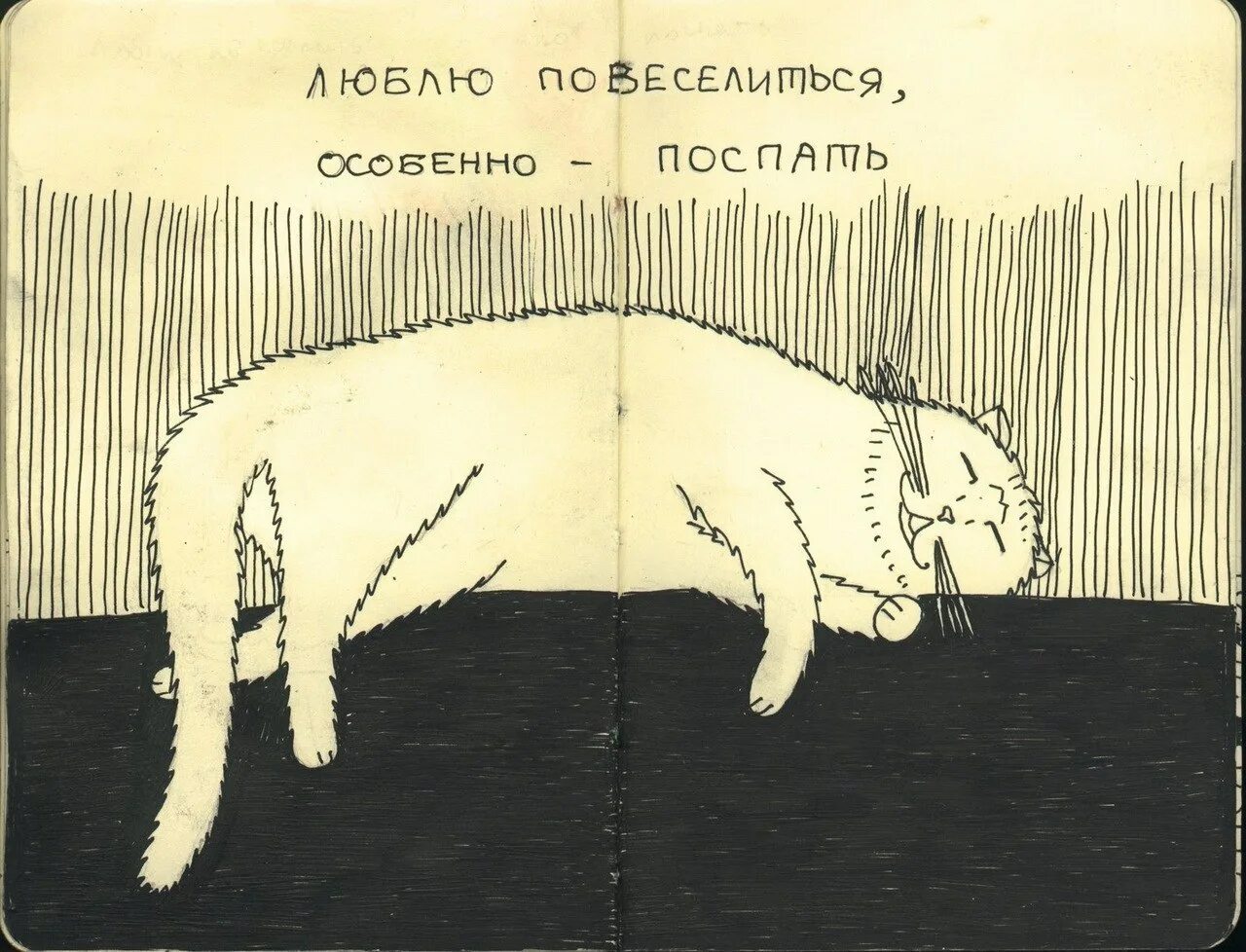 Люблю повеселиться особенно поспать. Люблю повеселиться. Люблю повеселиться особенно пожрать. Люблю повеселиться особенно пожрать картинки. Решил повеселиться