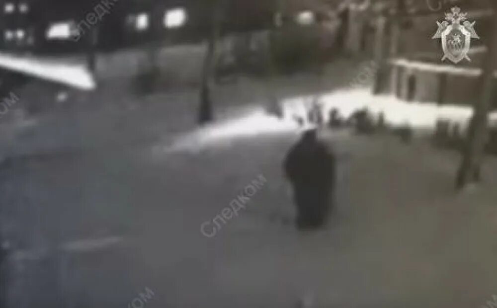 Насильник нападает на девочку. Насильник Красноярск. Нападение на девушку видео с камер.
