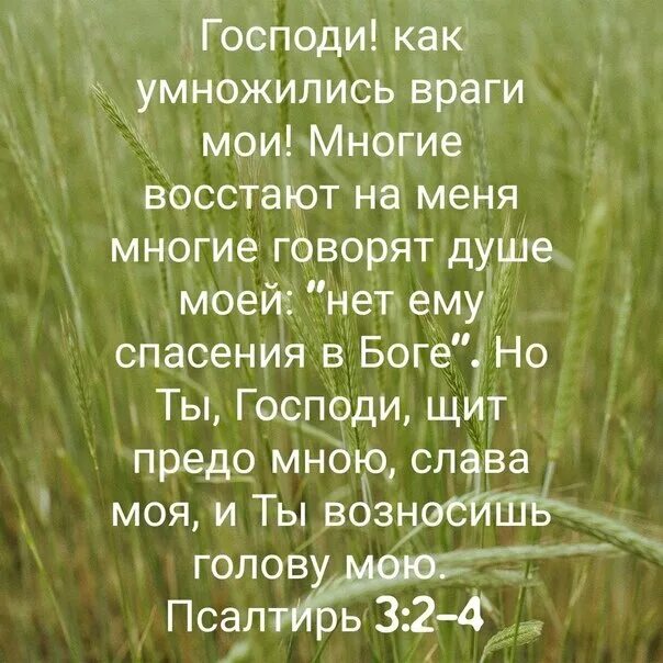 Господи как умножились враги Мои. Многие восстают на меня Псалом. Псалом 4:9. Псалом стих 4. Псалом 85 читать