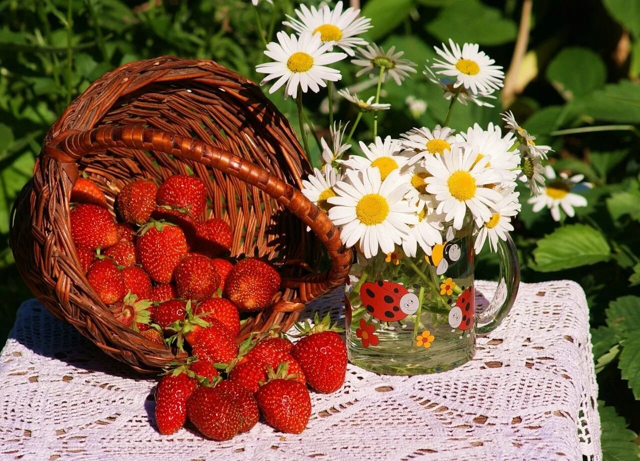 Летнее настроение. Доброго летнего дня. Прекрасного летнего дня. Ромашки и ягоды.