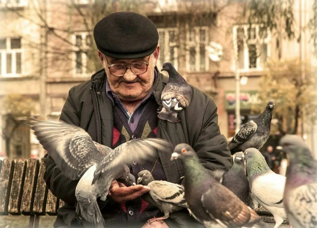 Мужчина с голубями. Человек голубь. Человек птица. Дедушка с голубями.