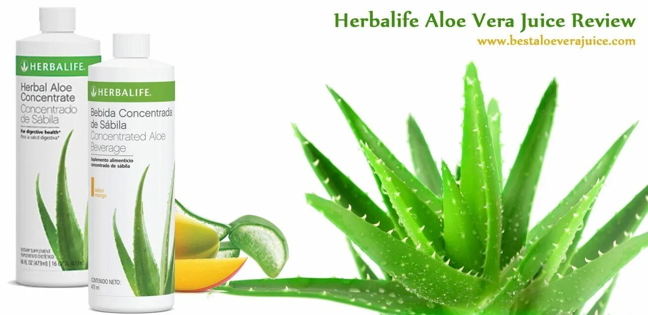 Aloe перевод