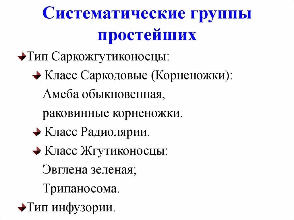 Систематические группы простейших. Систематические группы животных типа простейшие. Тип простейшие систематические группы. Тип простейшие систематические группы простейших. Основные группы простейших