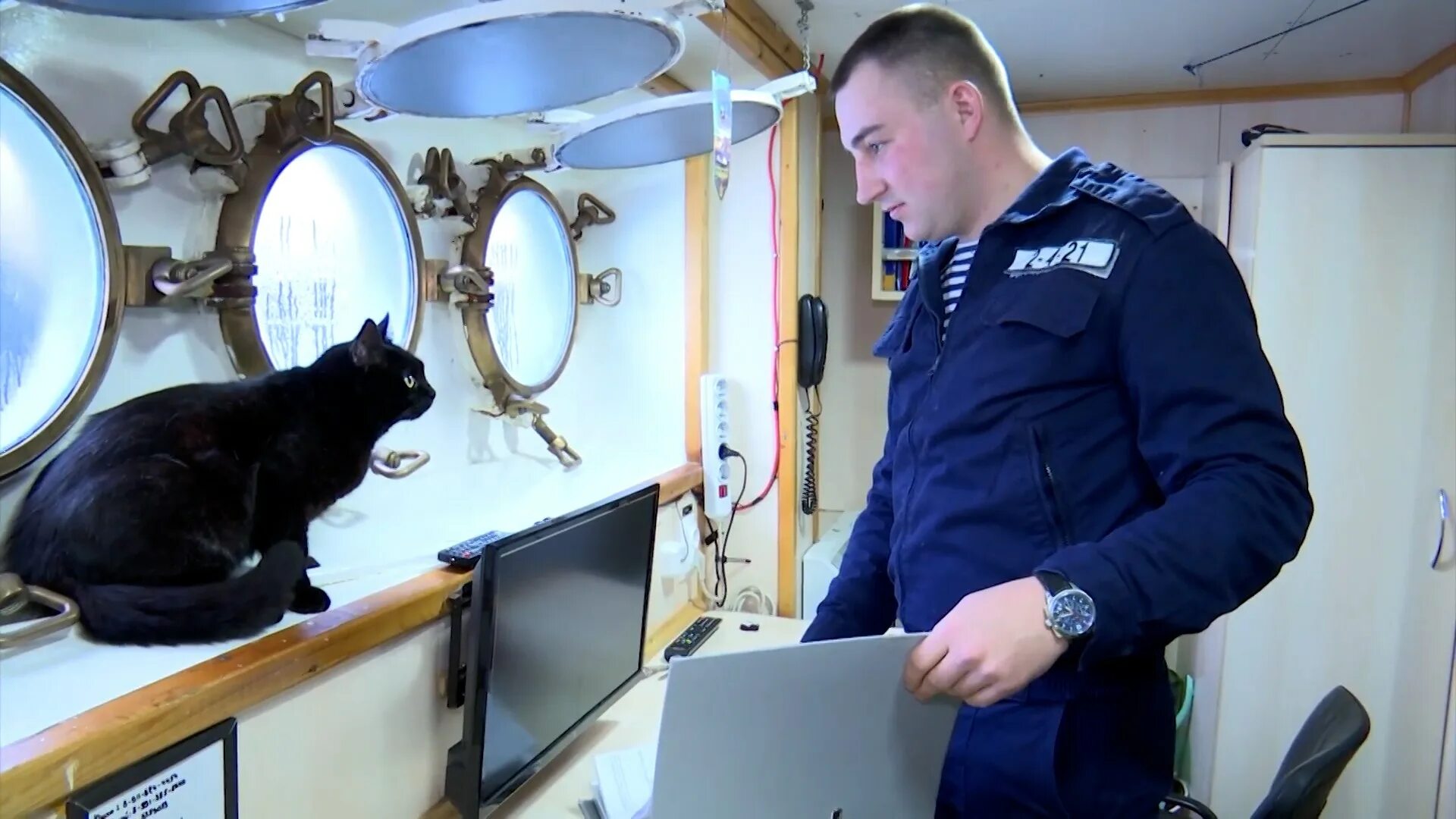 Корабельный кот. Кошка на корабле. Котенок на корабле. Черная кошка на корабле. Собака и кошка на корабле.