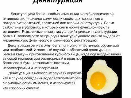 При разрушении наступает денатурация