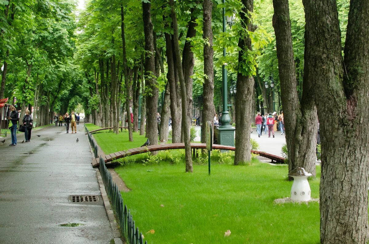 парк шевченко харьков. центральный парк харькова. парок харьков. осень в парке горького. харьков украина парк горького.