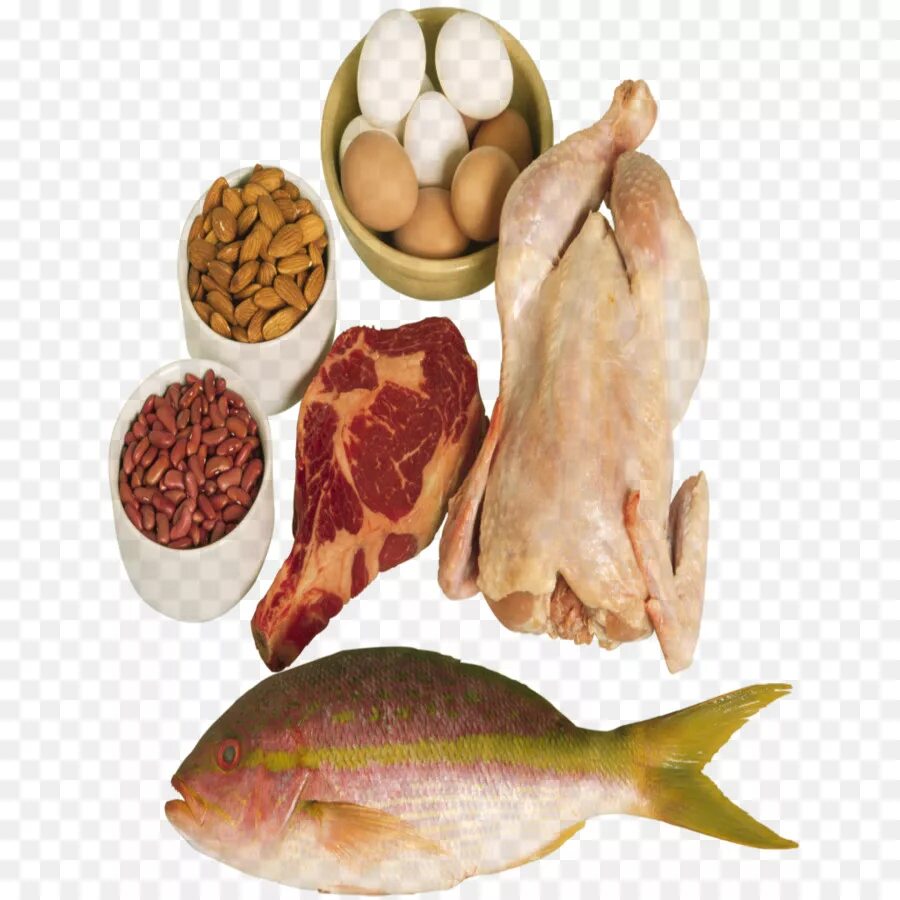 Мясо рыба. Мясо рыба птица. Мясо рыба курица. Мясные и рыбные продукты на прозрачном фоне.