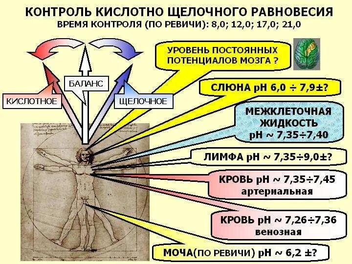 РН кислотно-щелочной баланс. PH кислотно щелочной баланс. PH органов человека. Кислотно-щелочной баланс организма (PH).