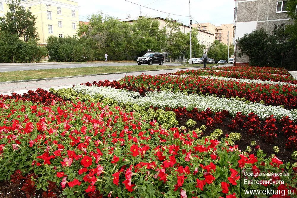 Цветники города Екатеринбурга. Клумбы на объездной. Город цветов Екатеринбург. Цветник Екатеринбург Луначарского 78.