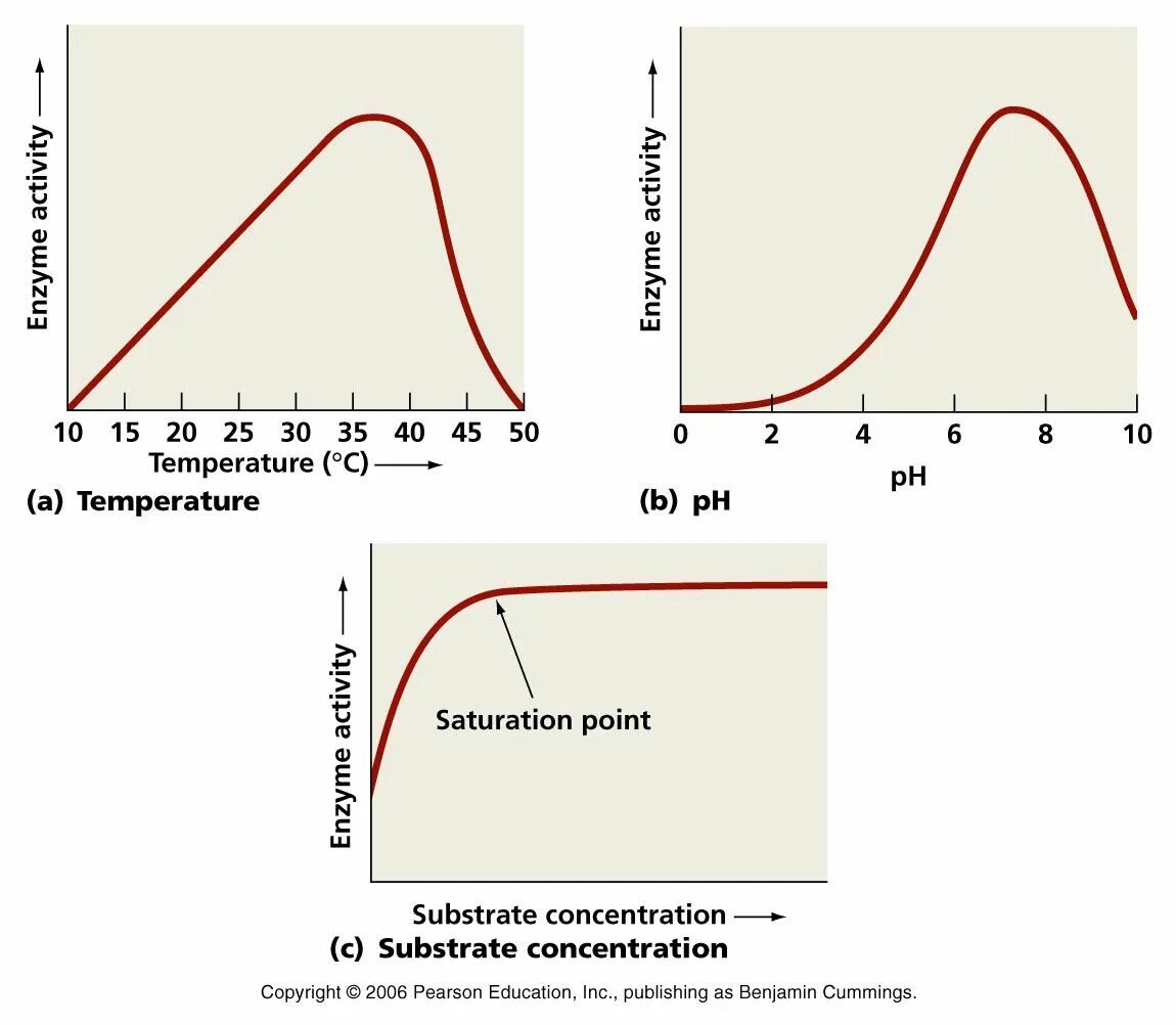 The Effect of the temperature. The dependence of the rate of a Chemical Reaction on temperature. Эффект Зюсса график. Graph of concentration on the temperature.