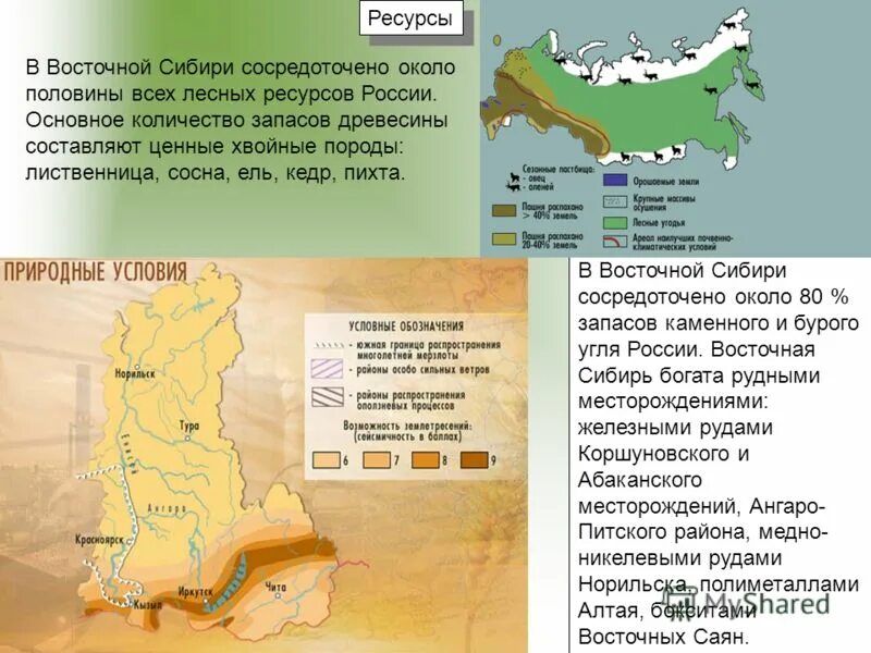 Сибирь богата природными ресурсами. Восточно-Сибирский экономический район ресурсы. Западно-Сибирский экономический район Лесные ресурсы. Восточная Сибирь экономический район Лесные ресурсы. Лесные ресурсы Восточно Сибирского района.