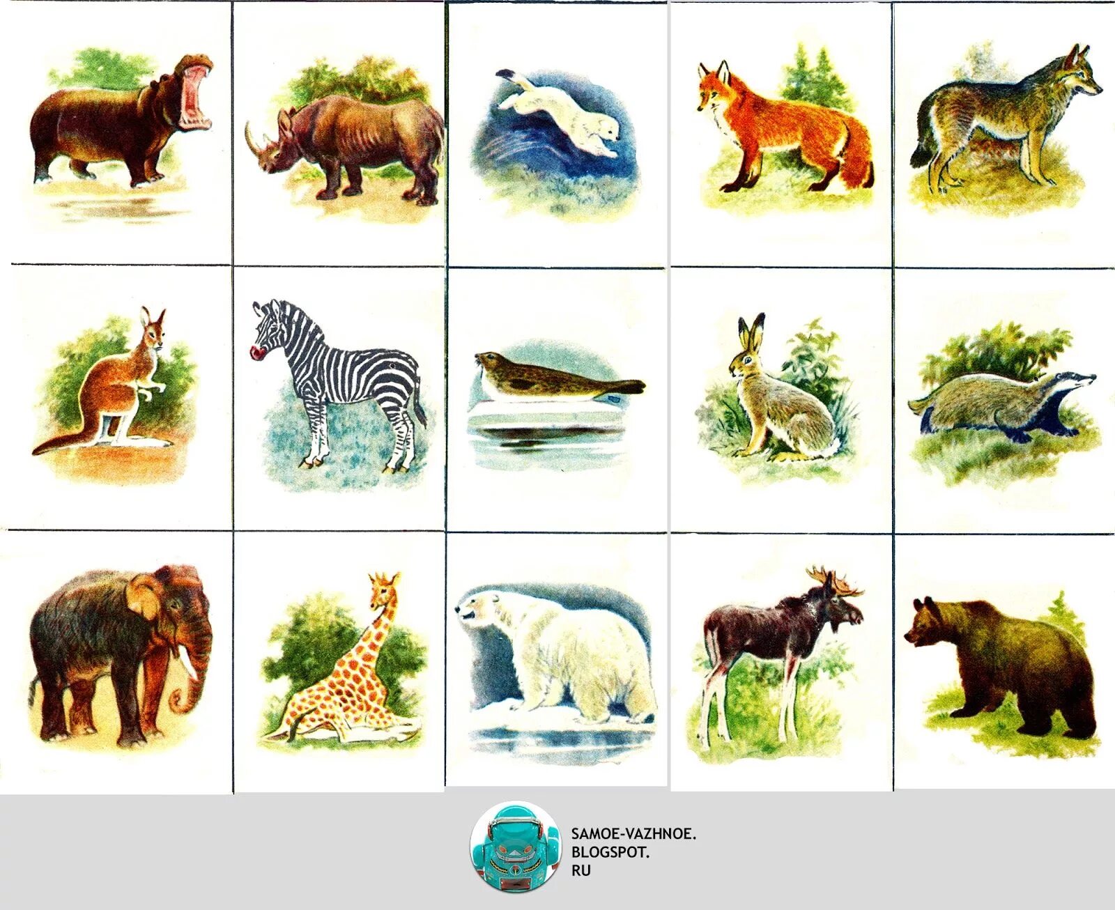 Зоологическое лото "в мире животных". Зоологическая игра животные лото. Диких животных для детей. Карточки с дикими животными. Карточки домашние дикие
