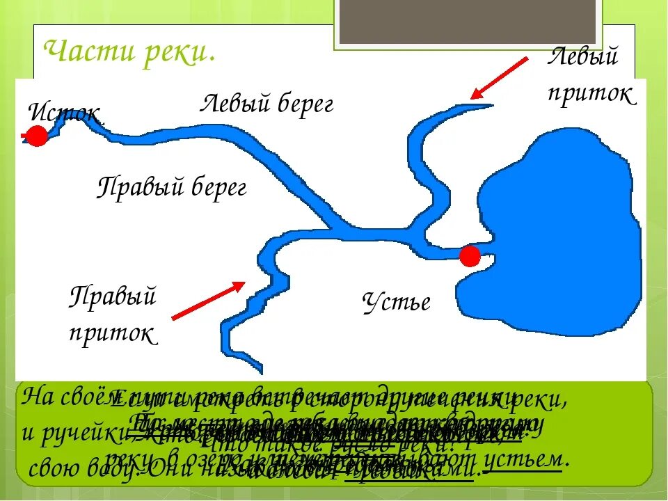 Река урал на карте россии исток. Река Ока на карте России Исток и Устье. Река Ока на карте России Исток и Устье реки. Река Ока бассейн реки. Карта реки Ока от истока до устья.