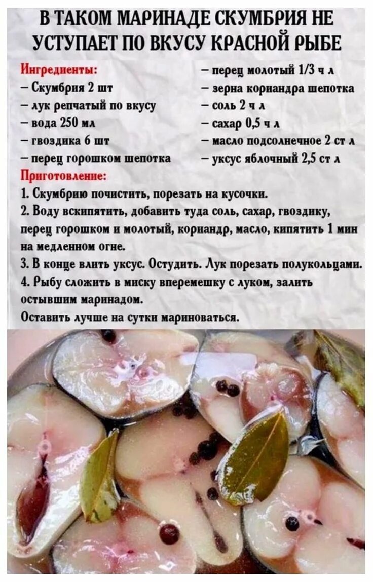 Рецепт как замариновать скумбрию. Рецепт маринада для скумбрии. Маринад для рыбы скумбрии. Маринад для соления рыбы скумбрии. Маринад для засолки скумбрии.