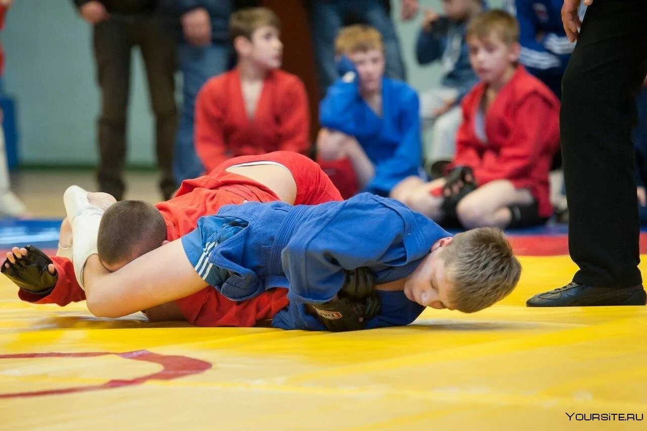 Школа самбо новосибирск фабричная. Участники соревнований самбо. Судейская форма самбо. Участники соревнований самбо. Самбо 70 лебедев алексей.