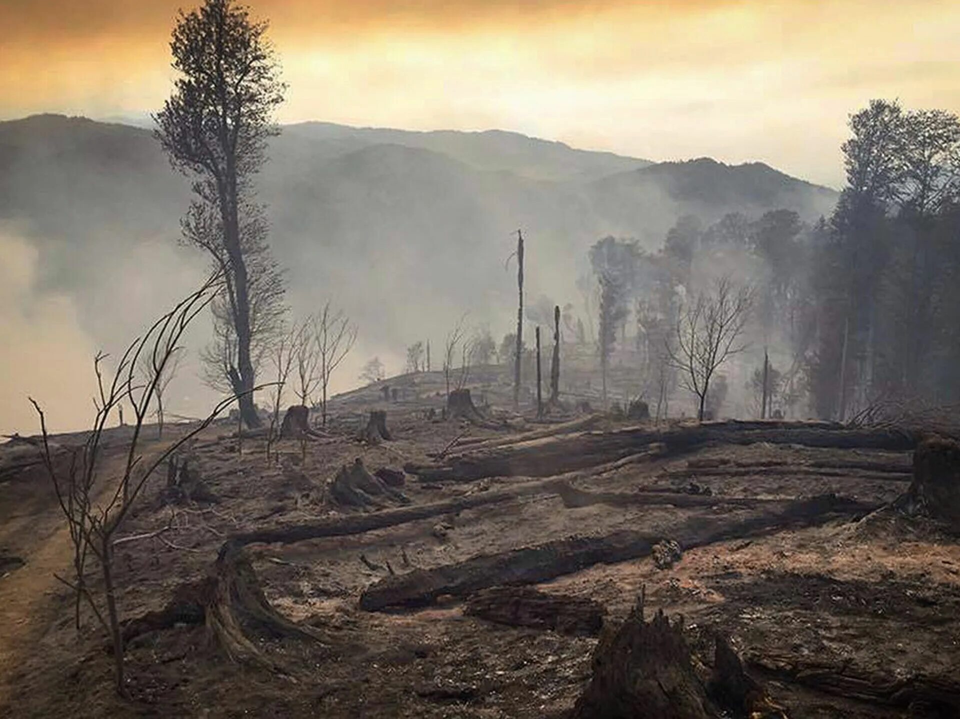 Выжженная земля. Выжженная земля после пожара. Выжженное поле. Лес после пожара. Экологические катастрофы 19 века.